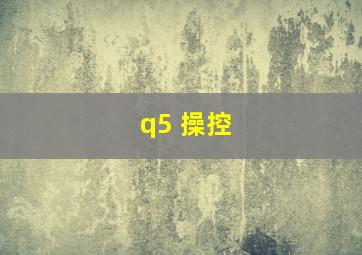 q5 操控